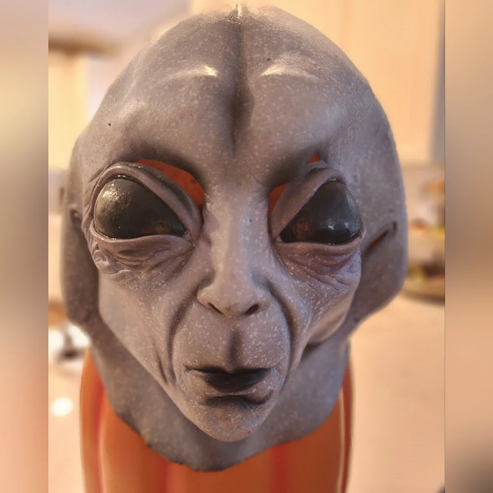 Alien Adult Mask - Picture 2 of 3